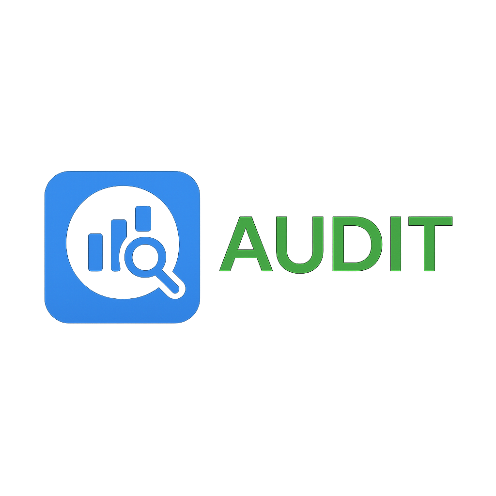 Audit 360